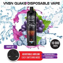 VNSN Quake 10000 Grape Ice Vape