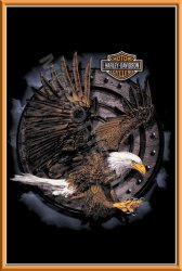 Eagle Action - Metal Sign