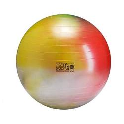 Gymnic Arte Plus Burst-resistant Exercise Ball 65 Cm
