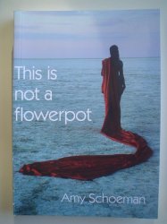 This Is Not A Flowerpot - Amy Schoeman