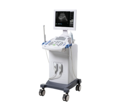 Ultrasound Diagnostic Scanner Full Digital Wed 9618CII