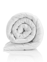 Free Delivery: Winter Duck Feathers Duvet Inner- Three-quarter