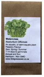 Heirloom Herb Seeds - Cress - Watercress
