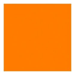 Rosco Roscolux Clearwater 20 x 24 Color Effects Lighting Filter