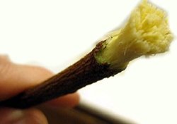zaitoon miswak