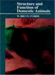 Structure And Function Of Domestic Animals