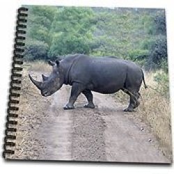3DROSE LLC 3DROSE DB_20116_1 South African Rhino Side View-drawing Book 8 By 8-INCH
