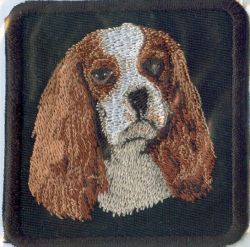 Embroidered Sew On Black Cavalier King Charles Spaniel