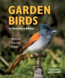 Garden Birds In Southern Africa Paperback