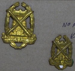 Sa Special Services Corps Collar And Cap Badges