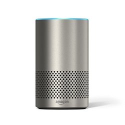 amazon echo decorative shell