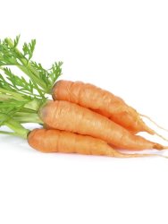 Carrot Amsterdam Seed - 50 G Raw Seed