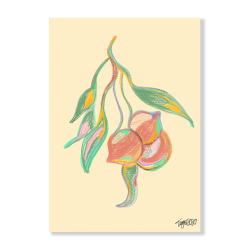 Pastel Peaches Art Print - A0