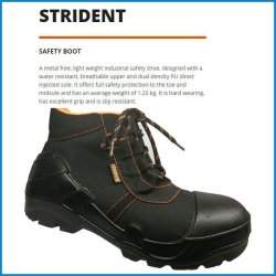 strident safety boot price