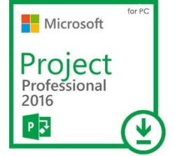 Microsoft Project Professional 2016 - Digital Email