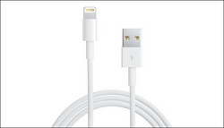 Tangled Iphone 5 Sync Cable - 5+