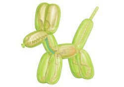 Jeronimo Balloon Dog Anantomy: Green