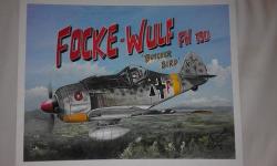 Focke-wulf Fw.190 Painting By Ryno Cilliers Without Frame