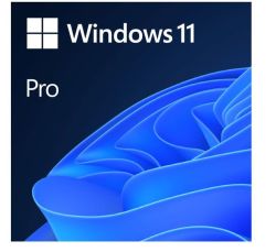 Windows 11 Professional DVD Single User License