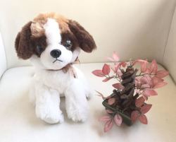 Plush Brown And White Dog Puppy Soft Stuffed Animal Toy 23CM Tall