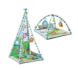 2-IN-1 Baby Activity Play Gym & Removable Tent