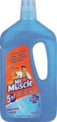 Mr Muscle Tile Cleaner Mountain Fresh 6 X 750ML