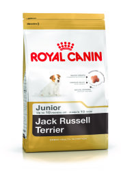 Jack Russell Junior - 3KG