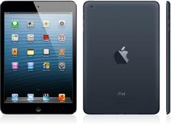 Apple iPad Mini Black 16GB 7.9" Tablet With WiFi & 4G