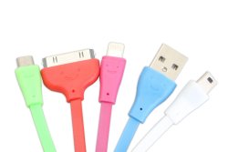 4 In 1 Phone Charger - USB With Four Chargers To Fit Every Phone - Fits Iphone Android Samsung Wi...
