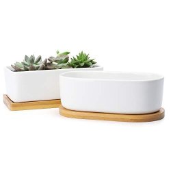 Greenaholics Succulent Pot 4.3Inch Cylinder Matte Ceramic Succulent Planter with Bamboo Stand for Small Plant Matte White