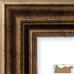 Craig Frames Inc. Craig Frames 81285100 11 By 14-INCH Picture Frame Solid Wood 2.5-INCH Wide Aged Gold
