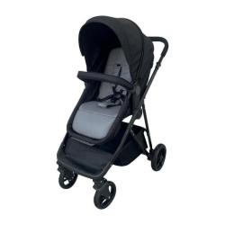 Deluxe 2 In 1 Baby Stroller