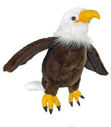 Personalized Long Message Recordable 15 Inch Talking American Bald Eagle With 30 Seconds Of Recording Time.