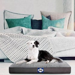 Sealy Cushy Comfy Dog Bed Sherpa Modern Grey Large