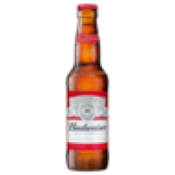 Beer Bottle 330ML