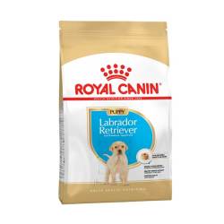 ROYAL CANIN Labrador Retriever Junior Dry Dog Food - 12KG