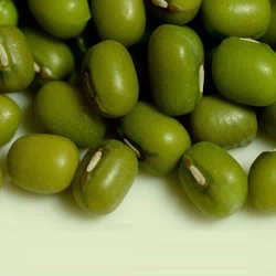 Mung Moongh Bean Green Gram - 10 Seeds Vigna Radiata