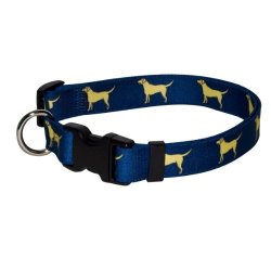 Yellow Dog Design Yellow Lab Dog Collar With Tag-a-long Id Tag SYSTEM-MEDIUM-3 4" And Fits Neck 14 To 20" 4