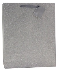 Creative Stationery Glitter Medium Gift Bag - Silver