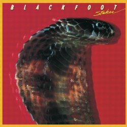 Blackfoot - Strikes Vinyl