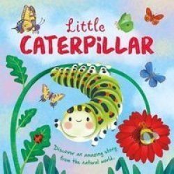 Little Caterpillar - Nature Stories Padded Board Book Board Book