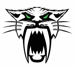 Arctic Cat Decal 5" Free Shipping In The United States