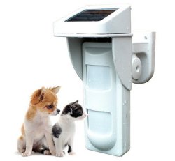 Cctv Motion Scanner Dog Retail Box 1 Year Warrant
