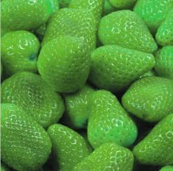 Rare Green Strawberry Seeds Packet Of 10 Seeds