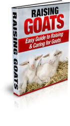 Raising Goats - Ebook