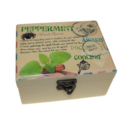 Aromatherapy Box - Holds 12 -design D