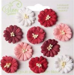 Bloom Cosmos - Red & White 10 Pieces
