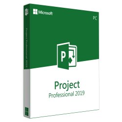 Microsoft Project Professional 2019 Retail Esd License For 1 User On 1 Windows Device