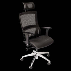 Demo Of Wp Beta Ergonomic Home Office Chair