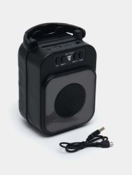 Portable Wireless Bluetooth Speaker HF-W-30